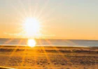 Hello, Sunshine: adopting the Best of Summer in Style