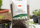 Soilless Soil for Plants: A Complete Guide for Modern Gardeners