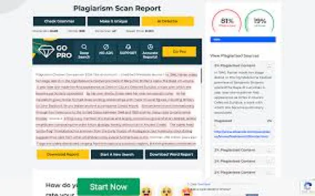 Understanding the Importance of a Verificateur de Plagiat in Modern Writing