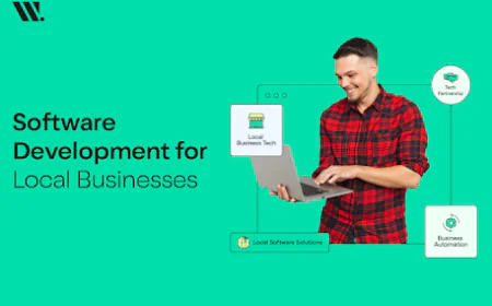 Smart Software Development for Local Businesses in Lahore by Websouls