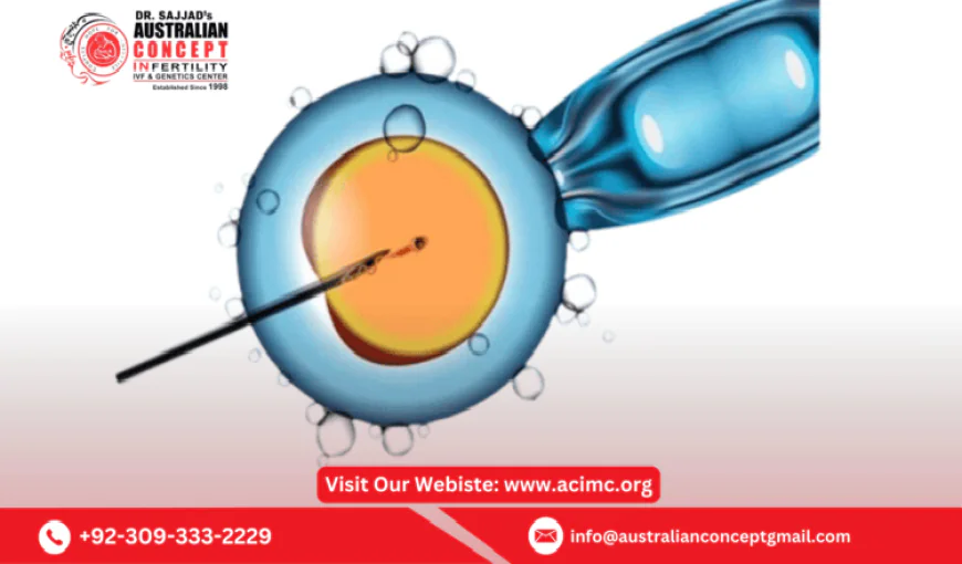 How successful is IVF treatment