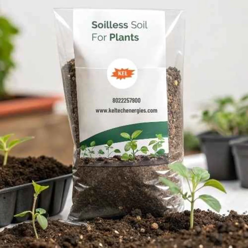 Soilless Soil for Plants: A Complete Guide for Modern Gardeners