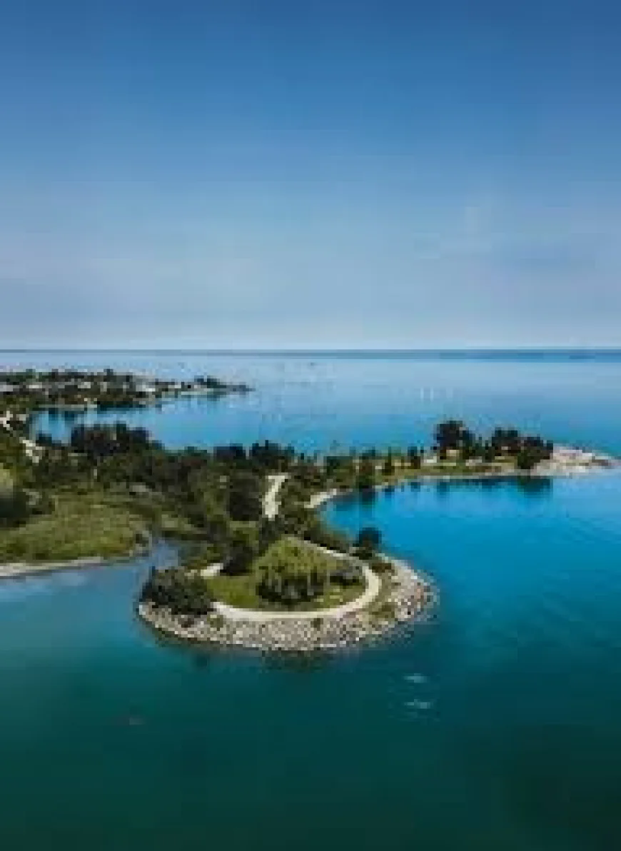 Wine Lovers’ Day Trips from Toronto Through Ontario’s Vineyards