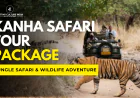 Kanha Safari Tour Package with VisitMyCulture