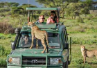 Is the Serengeti the Heart of All Tanzania Safaris?