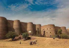 Sindh Tour Packages – Explore the Soul of Pakistan with Adventure Travel Pakistan