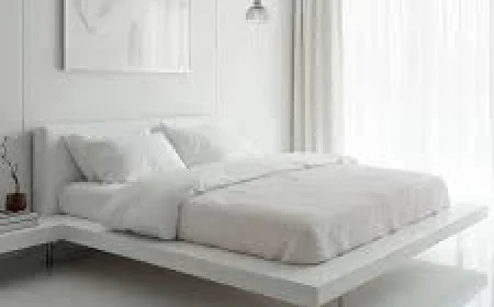 Where Organic Bedsheet Wholesale Fits Modern Homes 2026?