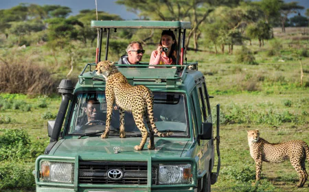 Is the Serengeti the Heart of All Tanzania Safaris?