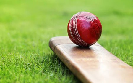 Easy and Secure Online Gaming with tiger exchange 247