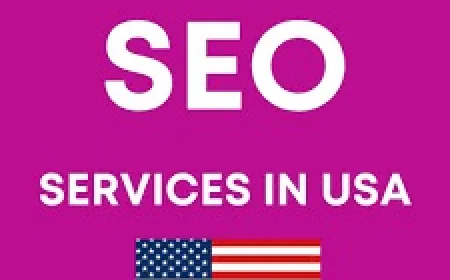 SEO Services in USA  Professional Optimization for Sustainable Rankings