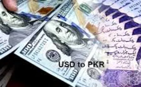 1 USD to PKR: Understanding the Dollar to Pakistani Rupee Exchange Rate