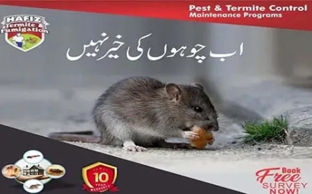 Rat Killer & Professional Rodent Control Services | Hafiz Pest Control