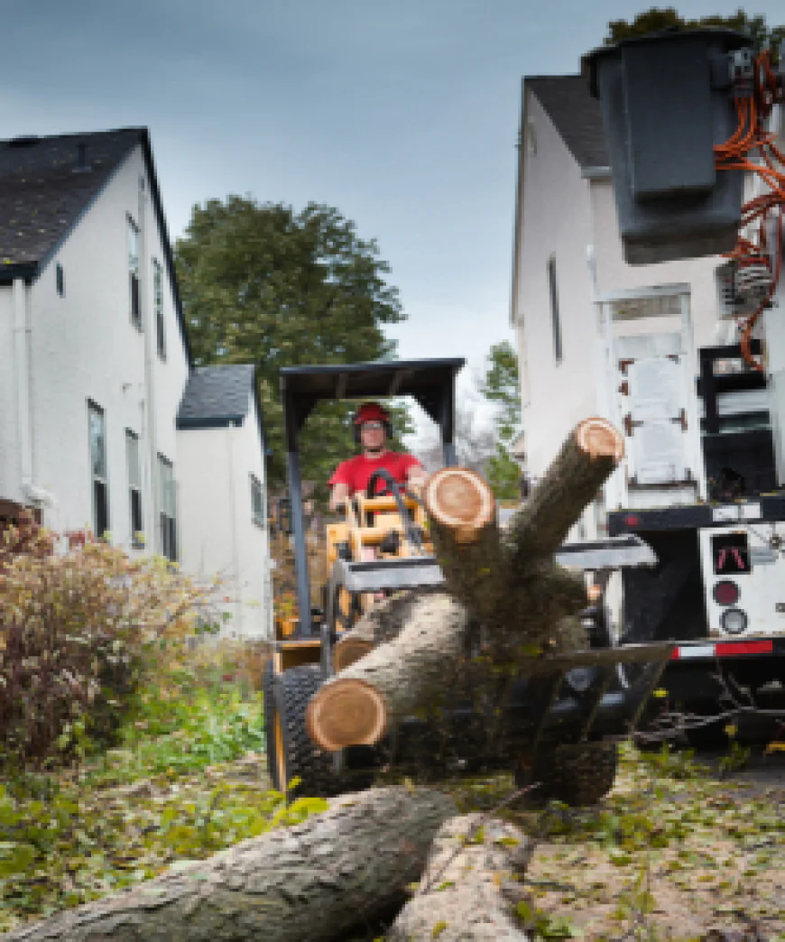 Looking for Yard Debris Removal Services – Fast & Reliable Cleanup