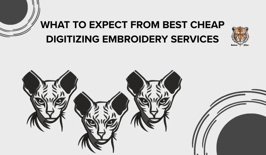What to Expect from Best Cheap Digitizing Embroidery Services