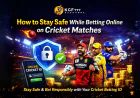 How to Stay Safe While Betting Online on Cricket Matches