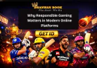 Why Responsible Gaming Matters in Modern Online Platforms