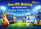 How IPL Betting Has Grown with Online Cricket IDs