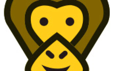 Random Video Chat App for Adults to Meet New People Instantly