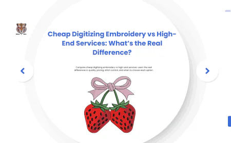 Cheap Digitizing Embroidery vs High-End Services: What’s the Real Difference?