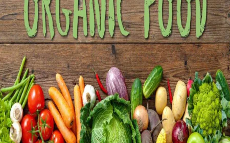 Best Organic Food Brands in India – Organic Grocery Store & Delivery in Delhi NCR | Eat Right Basket