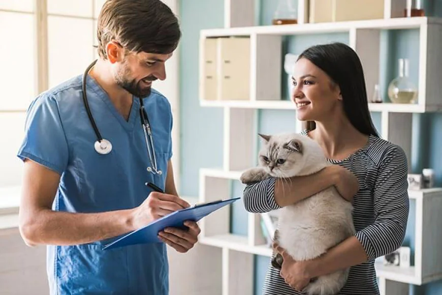 Accountants for Vets | Specialist Veterinary Tax & Accounting UK