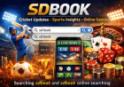 SDBook Uncovered: The Ultimate Hub for Cricket Fans and Online Gaming Lovers
