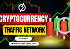 Cryptocurrency Traffic Network Explained: Benefits, Types, and Use Cases