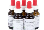 A Comprehensive Guide to Bachs Rescue Remedy & Relief