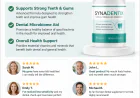 Synadentix Review 2026 – Natural Oral Health Support Formula