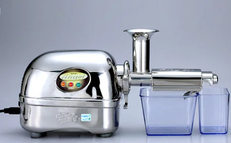 Angel Juicer 5500 | Premium Slow Juicer for Healthy Living