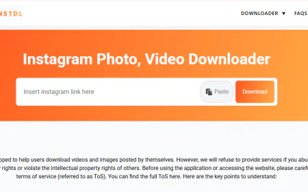 Instagram Video Download Online Fast & Secure Tool