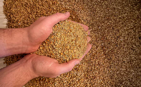 Who Can Benefit from Working with a Trusted Soybean Meal Manufacturer?