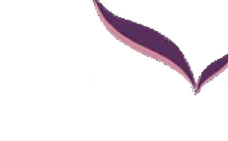 All-on-4 Dental Implants: Modern Solution for Full Mouth Rehabilitation