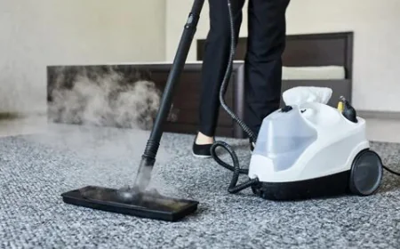 Trusted Carpet Cleaning Services for Healthy Living Spaces