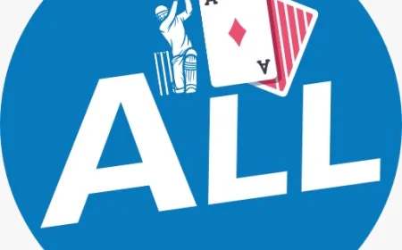 AllPanelExch.Com – Easy Guide for New Users