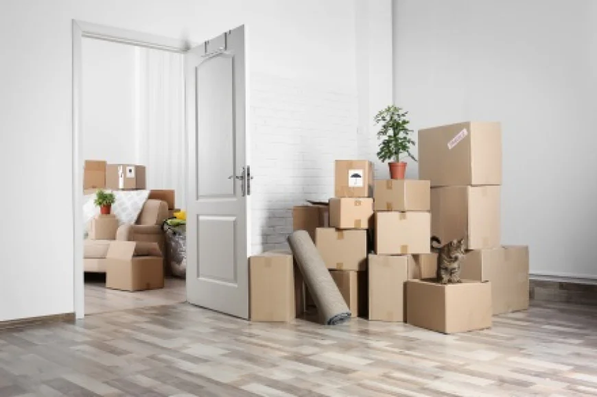 Who Should Hire Birmingham Removal Services for a Smooth Moving Experience