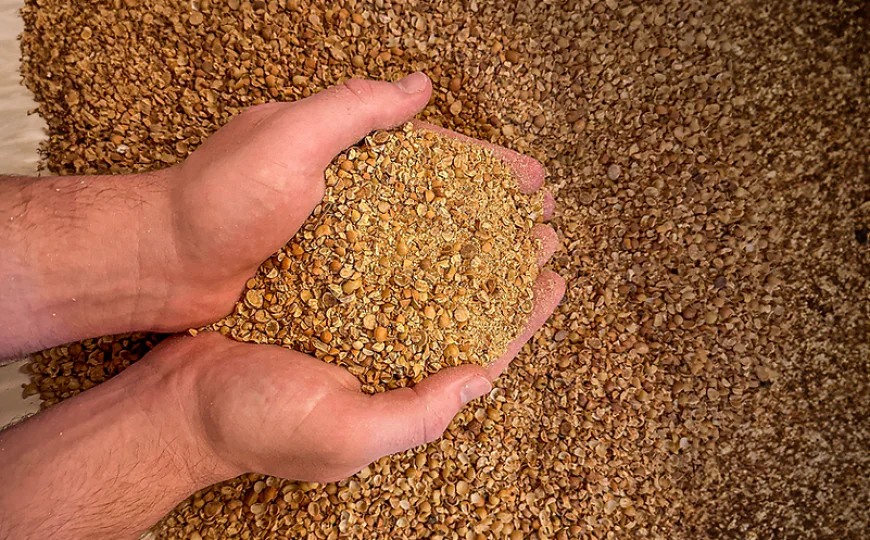 Who Can Benefit from Working with a Trusted Soybean Meal Manufacturer?