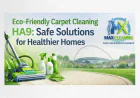 Eco-Friendly Carpet Cleaning HA9: Safe Solutions for Healthier Homes