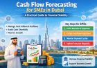Cash Flow Management Strategies for UAE Businesses (2026 Guide for Sustainable Growth)