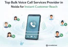 Bulk Voice Call Services