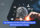 Top Reasons to Hire a Dedicated Digital Marketing Expert Today