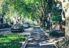 7 Must-Visit Destinations for Your Day Trips from Surry Hills