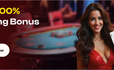 SD Book Simplified: A Friendly Guide to the sdbook Platform