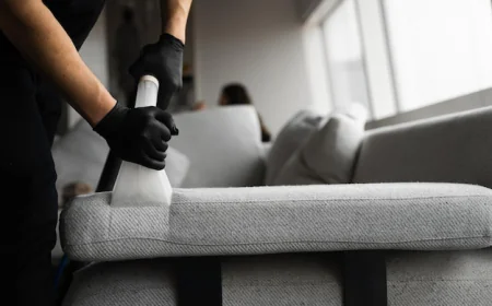 Professional Furniture Cleaning Services for a Healthier and More Comfortable Living Space