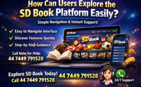 How Can Users Explore the SD Book Platform Easily?