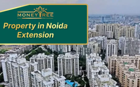 A Complete Guide to Buying Property in Greater Noida