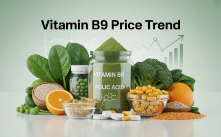 Vitamin B9 Price Trend: Understanding Market Movement in a Simple Way