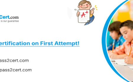 C1000-201 Exam Guide: Pass IBM Business Automation Workflow v25.0.0 Developer Easily