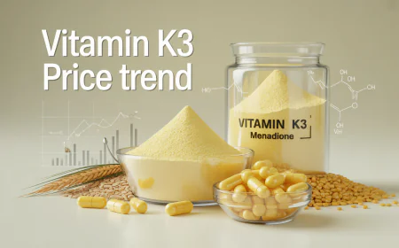 Vitamin K3 Price Trend: A Simple View of Market Movement