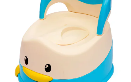 Duck Face Potty Seat: A Fun, Safe, and Practical Potty Training Solution for Kids